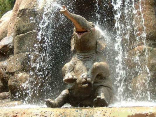 éléphant assis sous une cascade