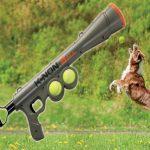 jouet lanceur de balles pour chien