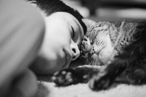 chat et enfant qui dorment