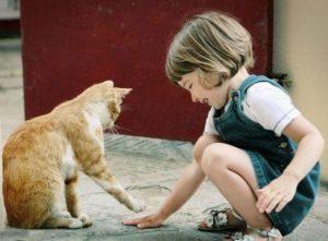 chat et enfant qui jouent