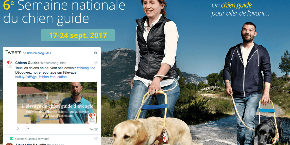 6ème semaine nationale du chien-guide