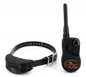 collier de dressage petsafe