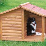 niche pour chien en bois